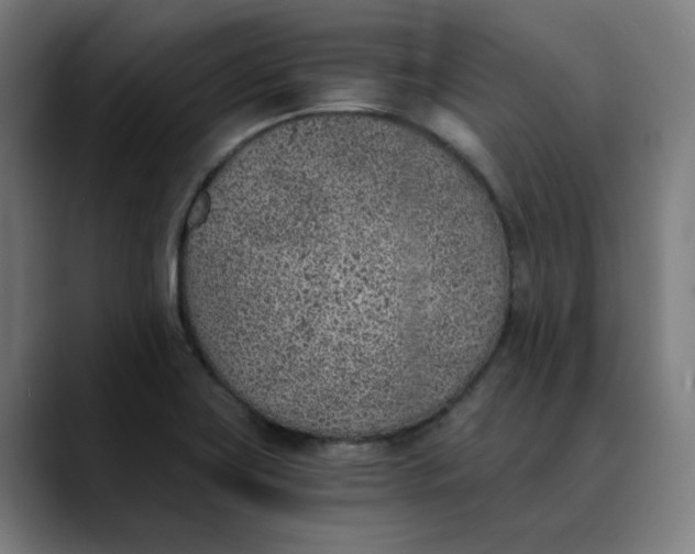 X0000089831419200707121632