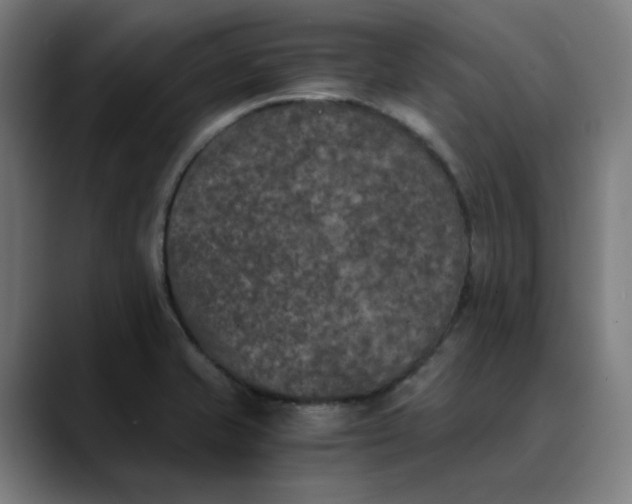 X0000089831421200707121632