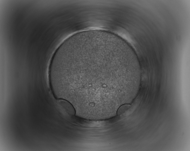 X0000089831423200707121632