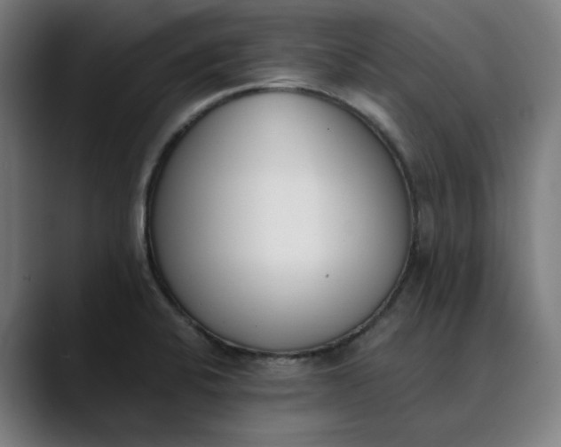 X0000089831424200707121632