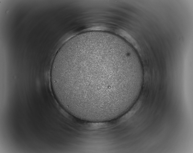 X0000089831425200707121632