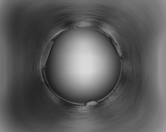 X0000089831426200707121632