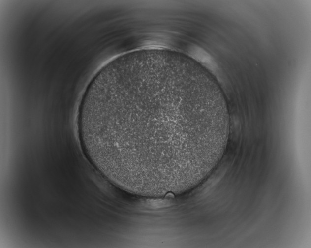 X0000089831427200707121632