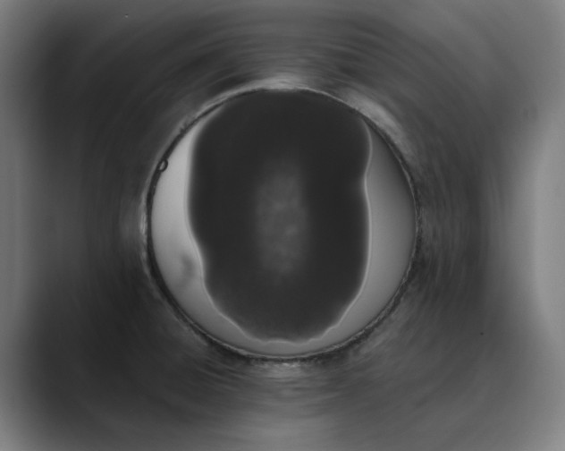 X0000089831428200707121632