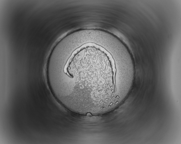 X0000089831429200707121632