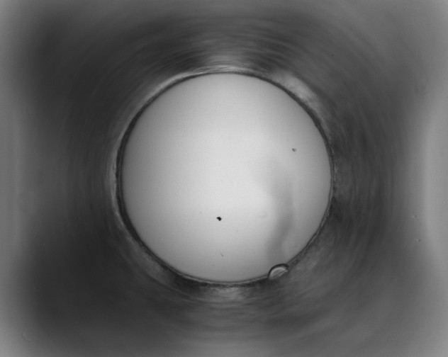 X0000089831431200707121632