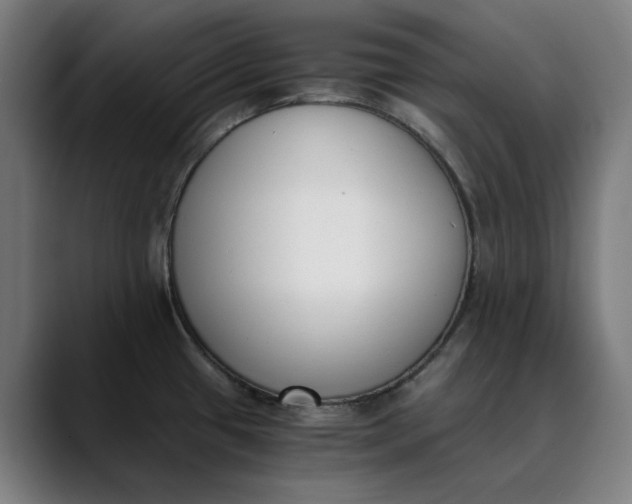 X0000089831433200707121632