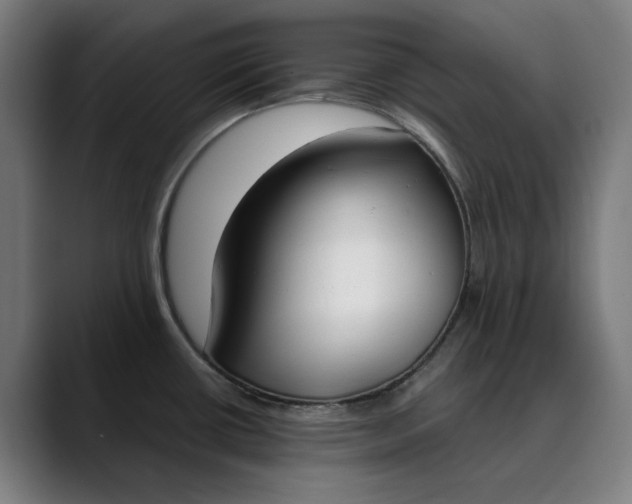 X0000089831434200707121632