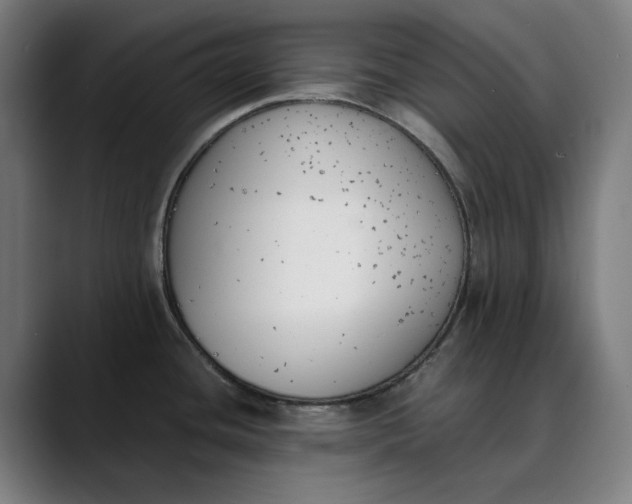 X0000089831436200707121632