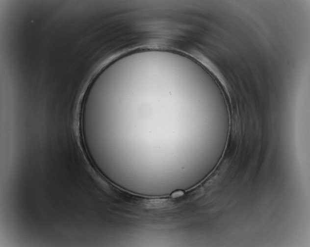 X0000089831437200707121632