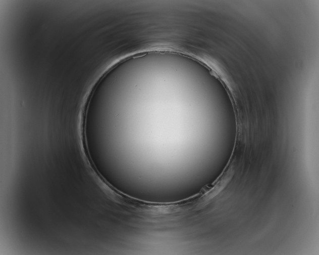 X0000089831438200707121632