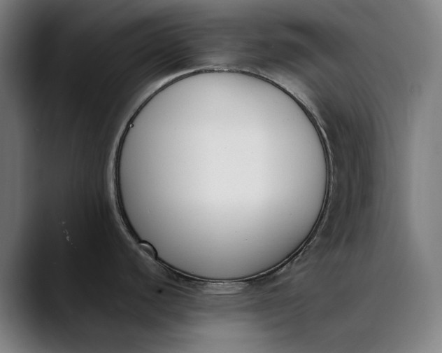 X0000089831440200707121633