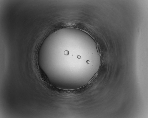 X0000089831441200707121632