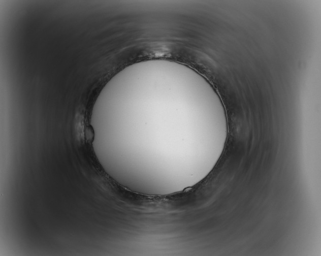 X0000089831442200707121632