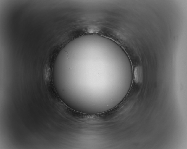 X0000089831443200707121632