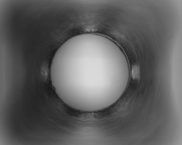 X0000089831444200707121632