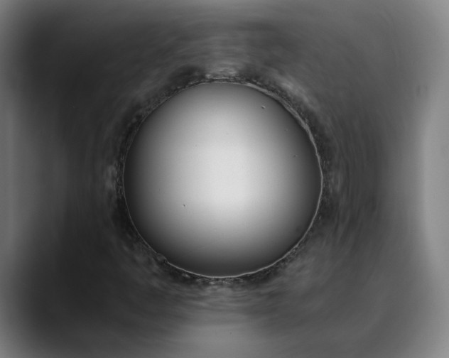 X0000089831445200707121632