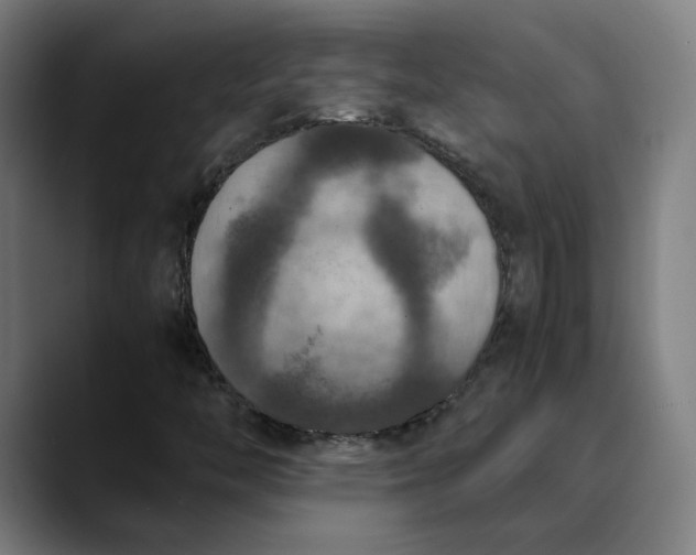 X0000089831446200707121632