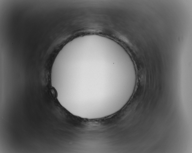 X0000089831448200707121632