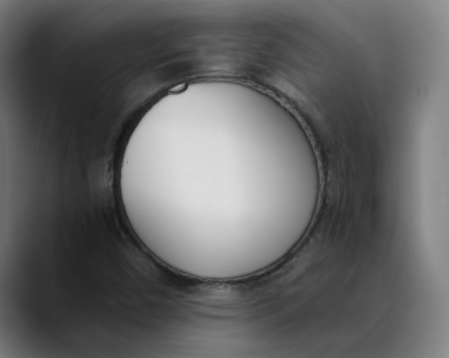 X0000089831450200707121632