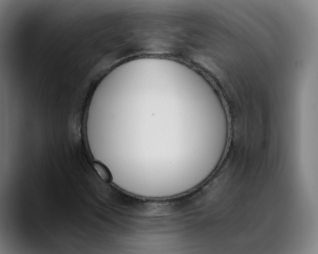 X0000089831451200707121632