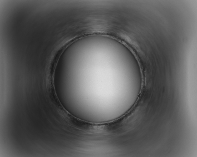 X0000089831453200707121632