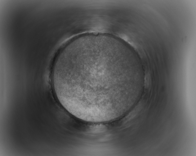 X0000089831454200707121632