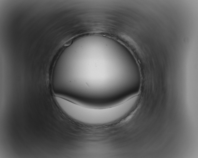 X0000089831457200707121632