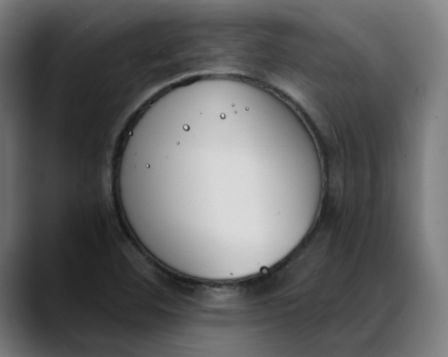 X0000089831460200707121632