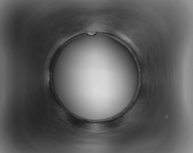 X0000089831461200707121632