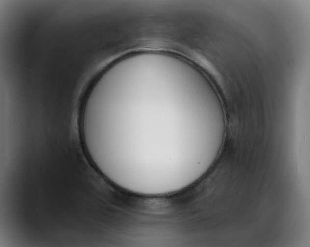 X0000089831464200707121632