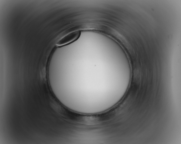 X0000089831465200707121632