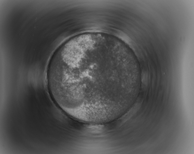 X0000089831466200707121632