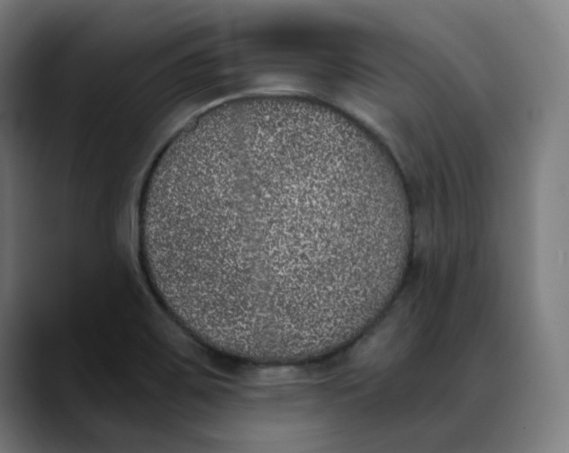 X0000089831467200707121632