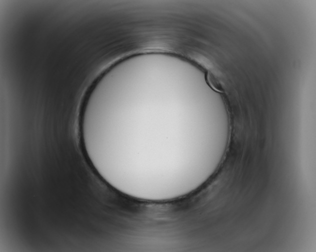 X0000089831469200707121632