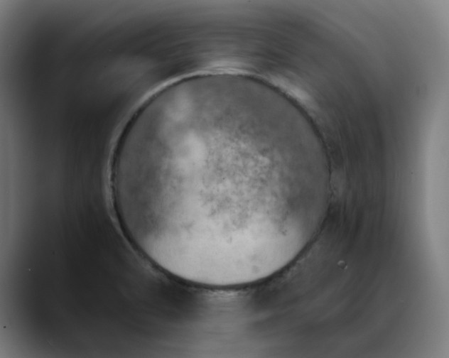 X0000089831470200707121632