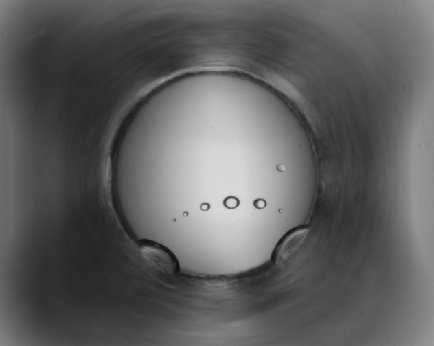 X0000089831472200707121632