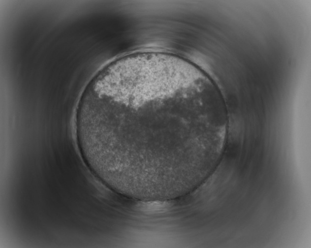 X0000089831474200707121632