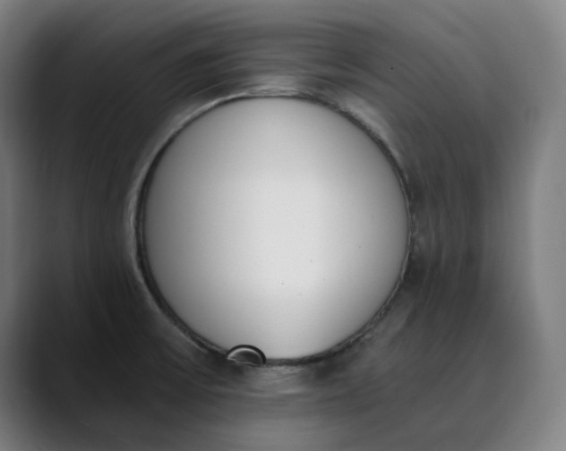 X0000089831475200707121632