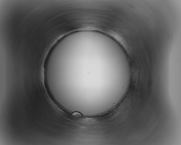 X0000089831476200707121632