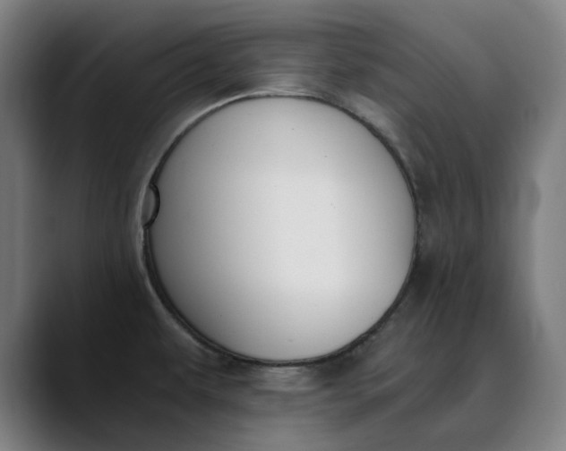 X0000089831479200707121632