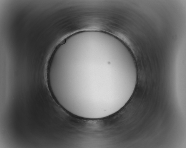 X0000089831480200707121631