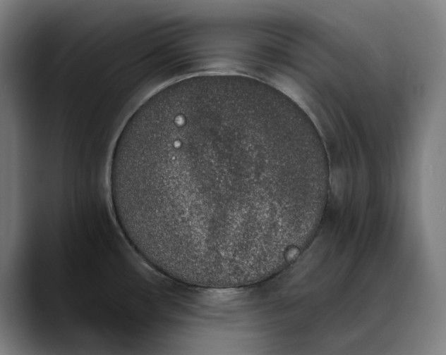 X0000089831482200707121631