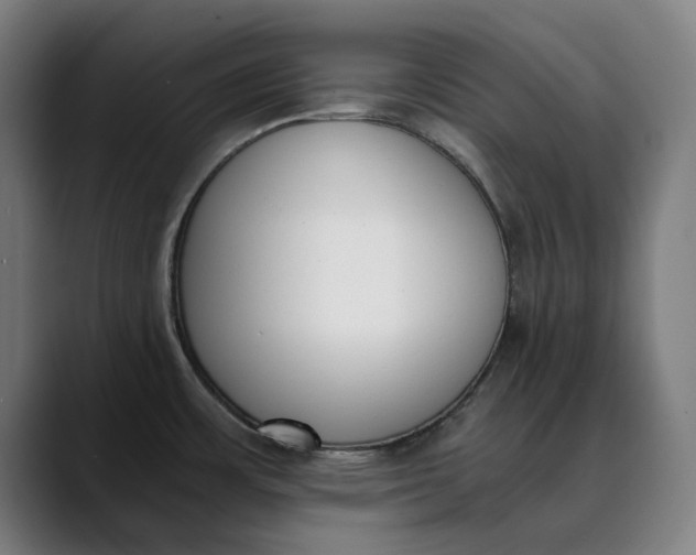 X0000089831483200707121631