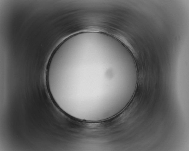 X0000089831484200707121631