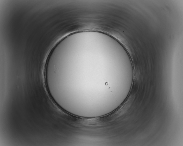 X0000089831486200707121631