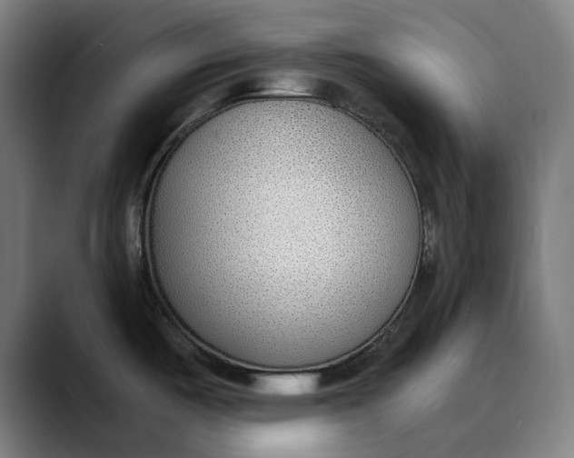 X0000089831487200707121631