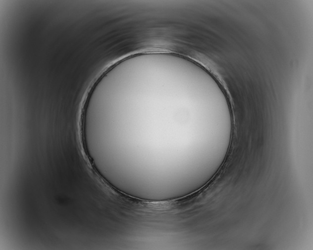 X0000089831488200707121631