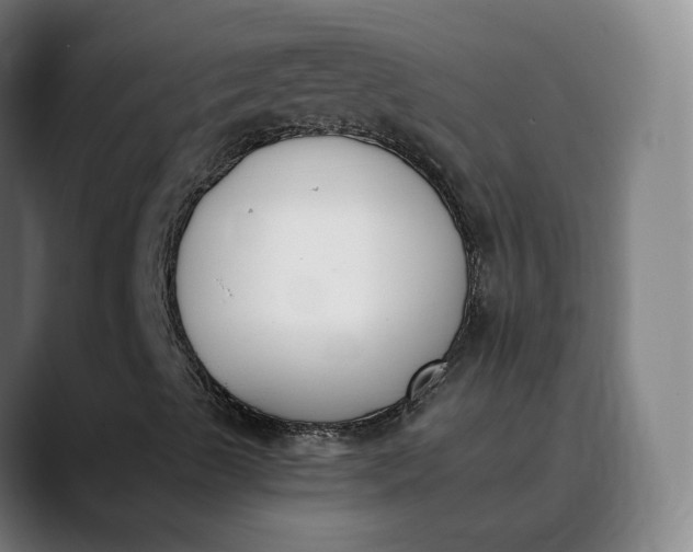 X0000089831489200707121631