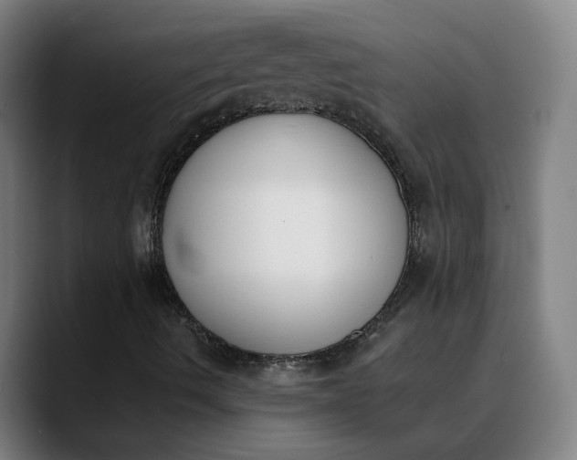 X0000089831490200707121631